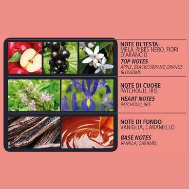 Unleash Your Inner Elegance, Wherever You Go